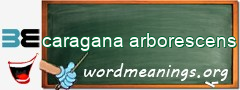 WordMeaning blackboard for caragana arborescens